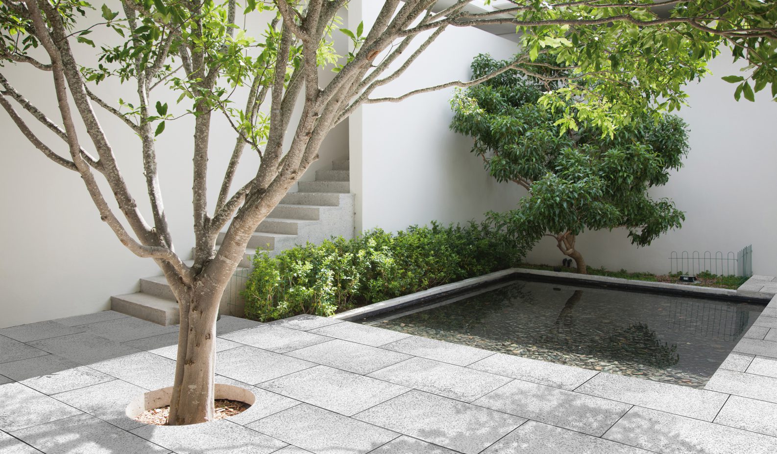 Frühwald Tiziano térkő - Image 3